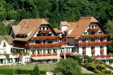 בית מלון כפרי Des Vosges