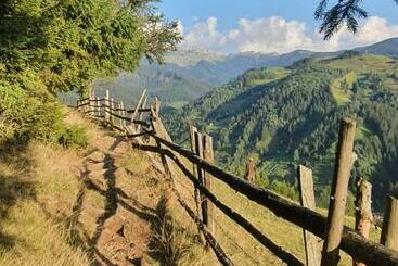 Pensão Alegria   Moieciu De Sus