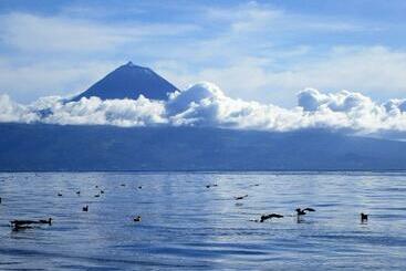 Vila Holanda Bed & Breakfast