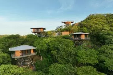 Hotelli Suitree Experience