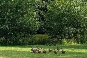 Pensión Le Manoir De La Campagne