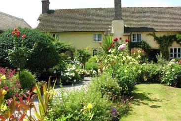 Pensione Exmoor Owl & Hawk Centre