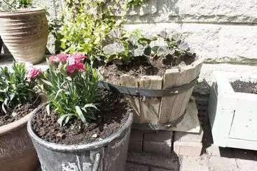 ベッドアンドブレックファースト Innisfree Cottage