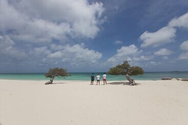 آپارتمانهای توریستها Sasaki Apartments