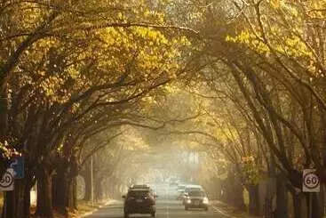 Stables Boutique Motel