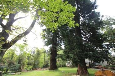 Olinda Country Cottages