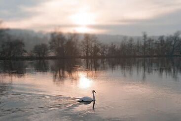 Charming 17th Century 2 Bed Cottage In Medmenham