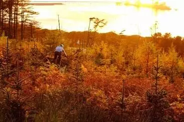 Mökkimajoitus Stunning Premium Yurt In Kelburn Estate Near Largs