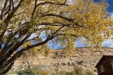 Hostelli The Homestead