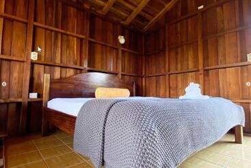 בית מלון כפרי Arenal Roca Lodge