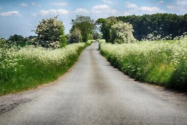 קוטג'' Squirrel Barn