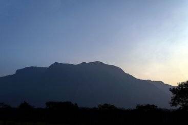 פנסיון Bamboo Banks