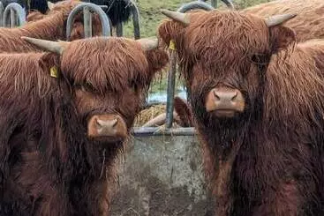 Casa Rurale Achmeney Glamping Pod Larger Than Average Pod