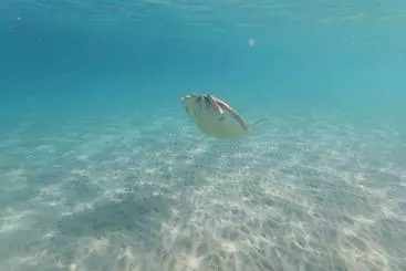 コテージ Domaine De Mapou