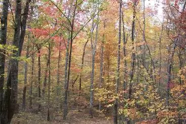 Grandview Experience Lodge