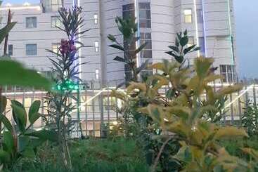 בית מלון כפרי Melka Adama