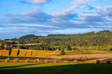 Bed and Breakfast Abbey Road Farm