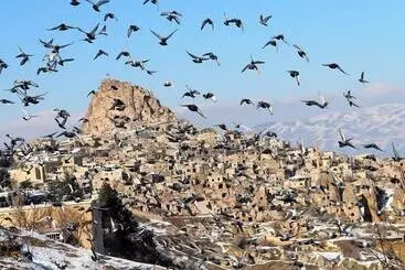 Hotel Pome Granate Cave