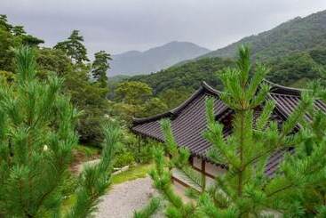 Chungju Solnaeeum Hanok Pension