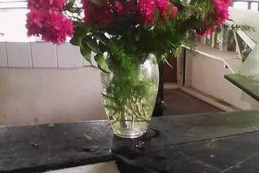 Drifters At One Mile   Hostel