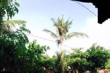 Majatalo Casa Hotel Mar Y Paz By Rotamundos