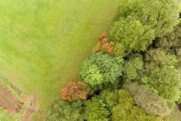 Entre Pampa Y Bosque