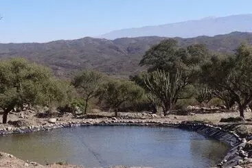 La Ceiba