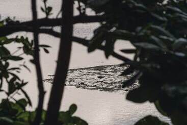 فندق The Postcard Galle