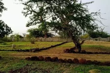 Pension Djandji B
