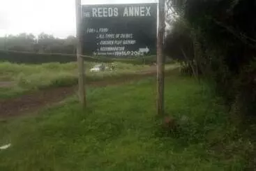 پانسیون Reed Hotel Annex