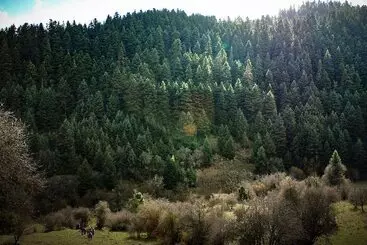 Mylaon Boutique Hotel & Spa