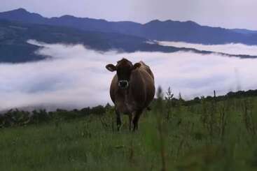 Pensão Onuma Lakeside Cottage