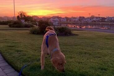 צימר Cashelmara Inn