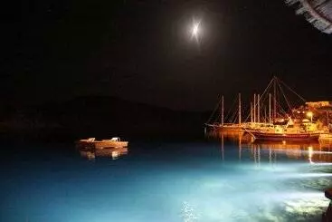 Hotel Bozburun Pembe Yunus