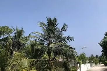 ペンション Tropical Sands Kelaa