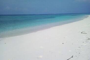 تختخواب و صبحانه Ungoofaaru Inn