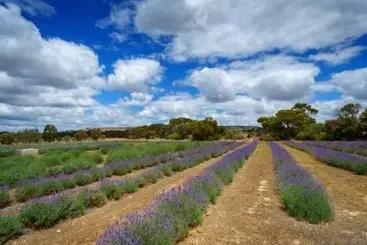 Discovery Parks   Kangaroo Island