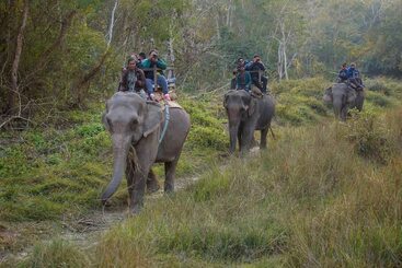 هتل Temple Tiger Green Jungle Resort