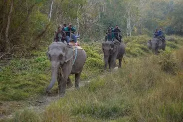 هتل Temple Tiger Green Jungle Resort