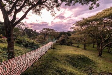 酒店 Sambiya River Lodge