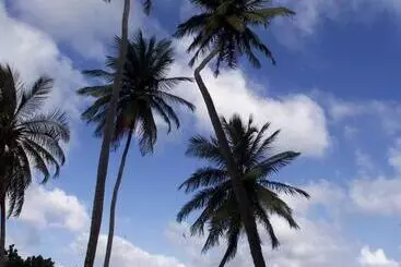 Pensión Big Sky Lodge