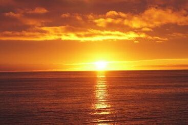 Bed and Breakfast White On Wood
