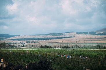 コテージ Ein Zivan Village Resort