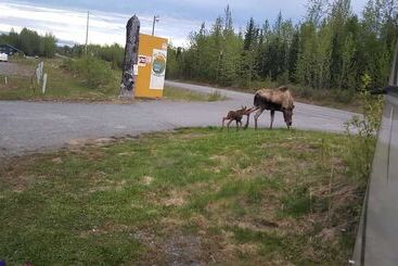 קוטג'' All Seasons Campground