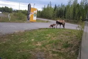 Mökkimajoitus All Seasons Campground