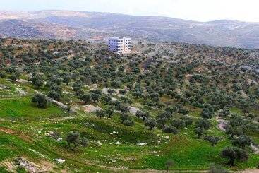 Отель Taybeh Golden