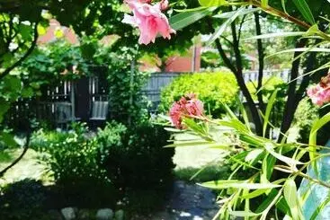 Opus 74 Bed & Breakfast