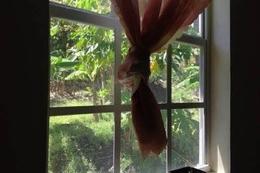 Pensjonat The Jungle Room