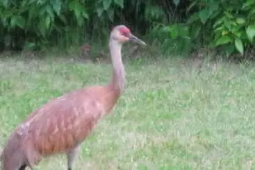 Whispering Winds Retreat B&b