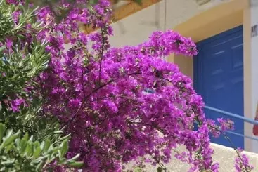 ホテル Katerina S Bungalows